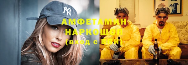 сатива Абинск