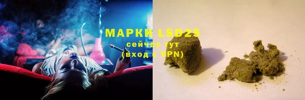 ГАЛЛЮЦИНОГЕННЫЕ ГРИБЫ Алексин
