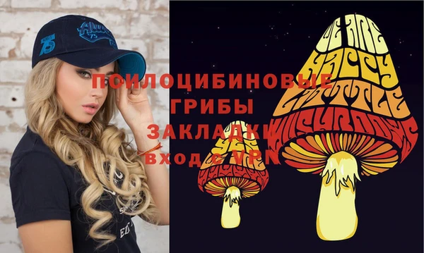 сатива Абинск